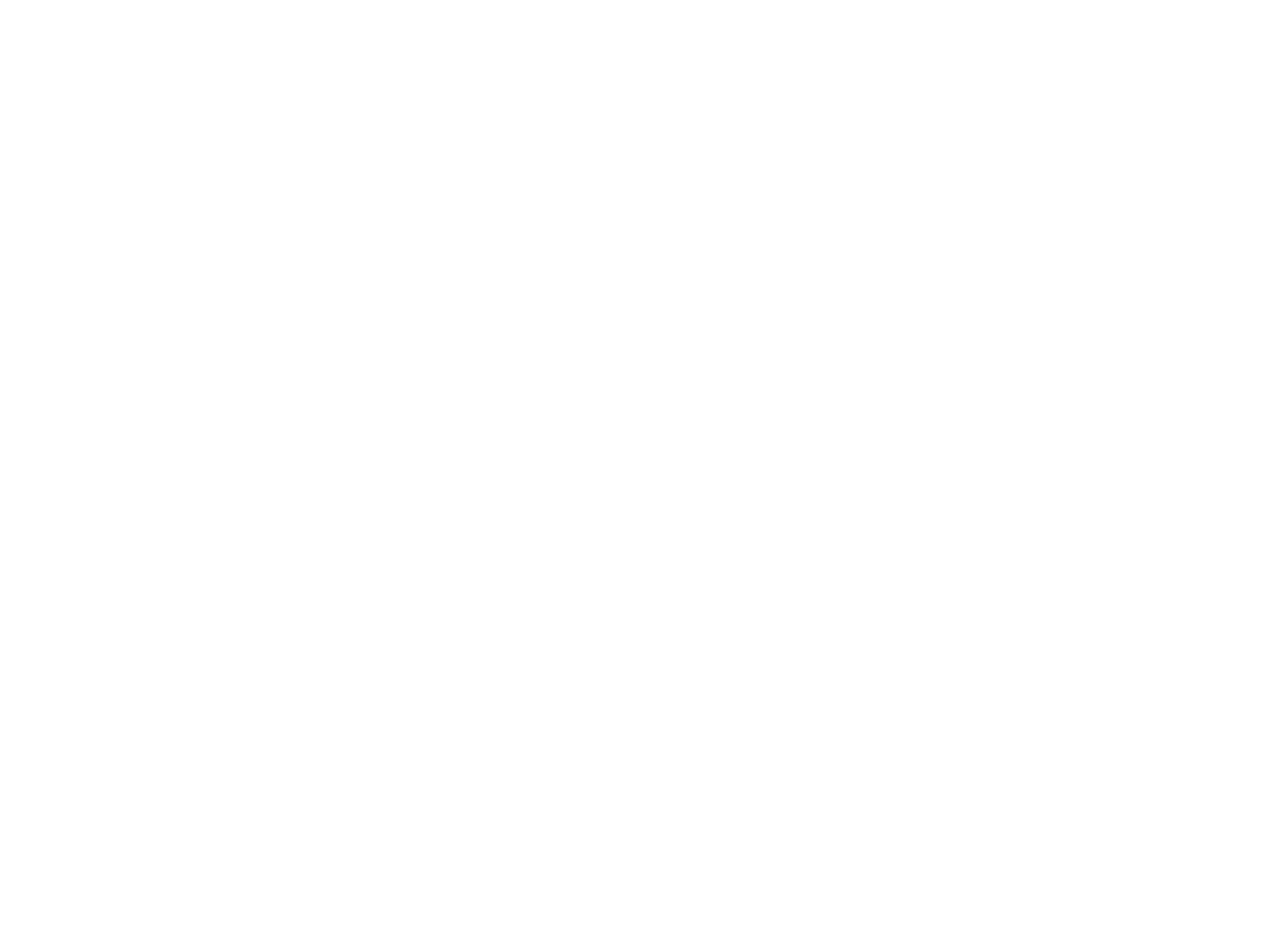 Sainbiz logo white